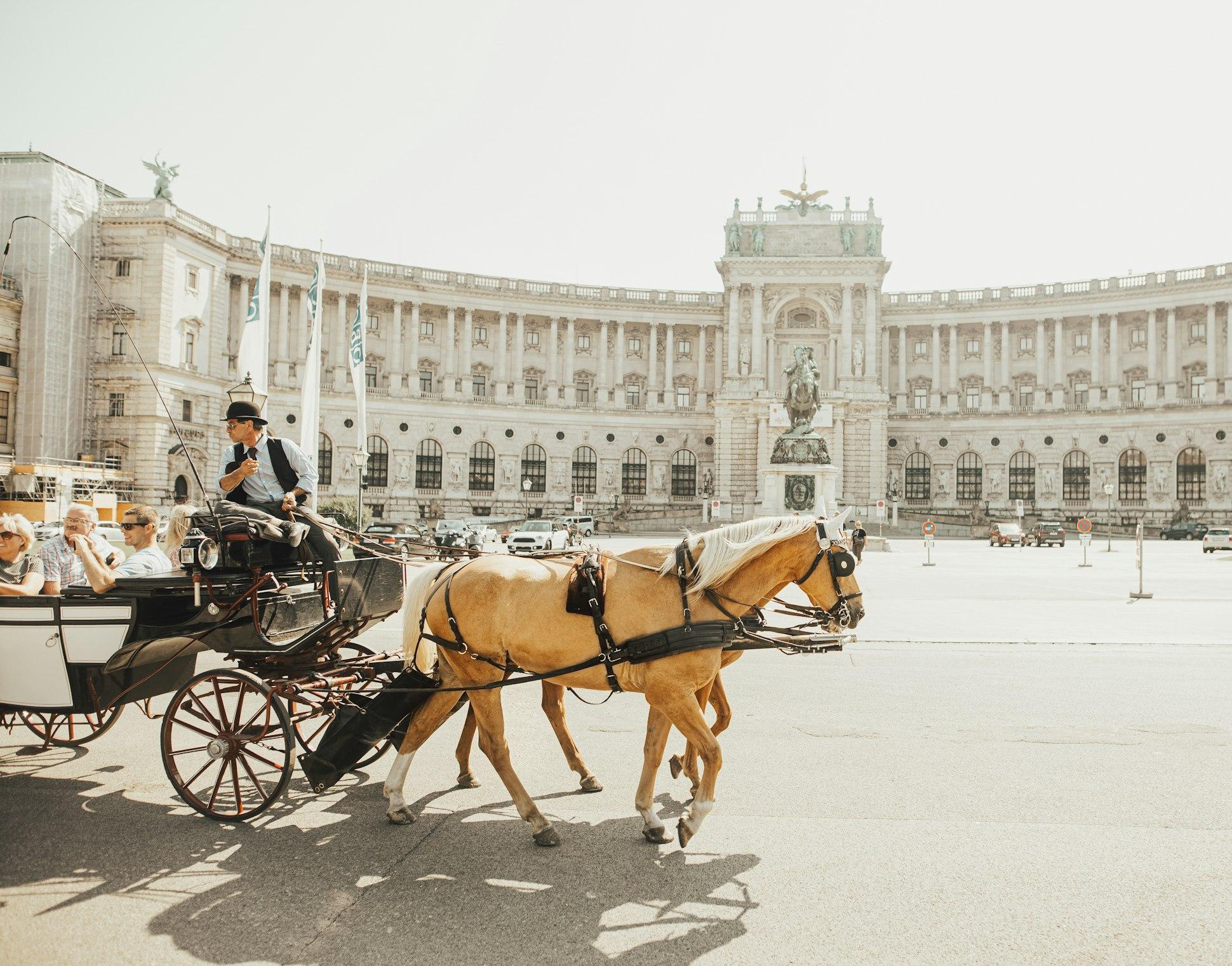 Schönbrunn & Hofburg Palaces