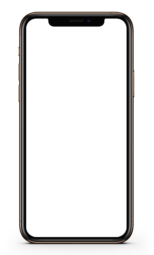 Voyista App in use